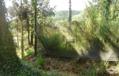 Imagem: O terreno possui 2.500m² de Área e está localizado em Piá