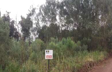 Imagem: A fazenda possui 3m² de Área e está localizado em Fazenda