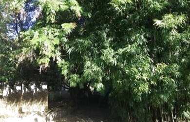 Imagem: O terreno possui 1.208m² de Área e está localizado em Ackermann