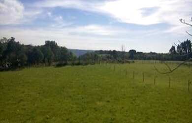 Imagem: O terreno possui 4.000m² de Área e está localizado em Linha