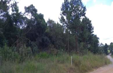 Imagem: O terreno possui 1.234m² de Área e está localizado em Linha