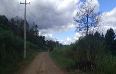 Imagem: O terreno possui 2.779m² de Área e está localizado em Pinhal