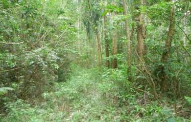 Imagem: A fazenda possui 190.000m² de Área e está localizado em