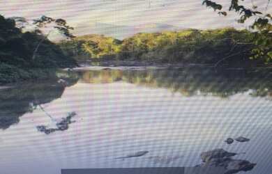 Imagem 2: VENDO TROCO FAZENDA 2100 hec ESCRITURADA REGIÃO DE AMAJARI RORAIMA 4250