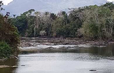 Imagem 6: VENDO TROCO FAZENDA 2100 hec ESCRITURADA REGIÃO DE AMAJARI RORAIMA 4250