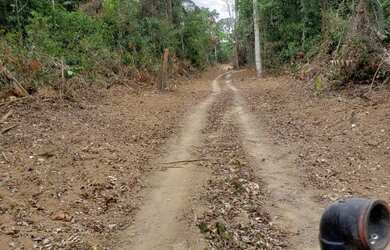 Imagem 9: VENDO TROCO FAZENDA 2100 hec ESCRITURADA REGIÃO DE AMAJARI RORAIMA 4250