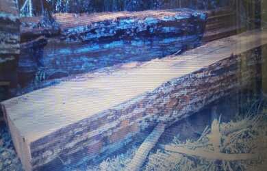 Imagem 14: VENDO TROCO FAZENDA 2100 hec ESCRITURADA REGIÃO DE AMAJARI RORAIMA 4250