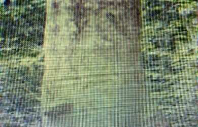 Imagem 12: VENDO TROCO FAZENDA 2100 hec ESCRITURADA REGIÃO DE AMAJARI RORAIMA 4250