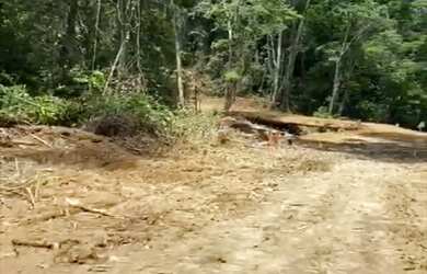 Imagem 2: VENDO TROCO FAZENDA 1200 hec ESCRITURADA REGIÃO DE AMAJARI RORAIMA ( 6100