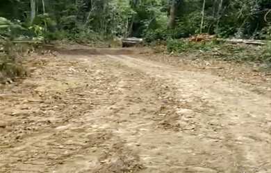 Imagem 5: VENDO TROCO FAZENDA 1200 hec ESCRITURADA REGIÃO DE AMAJARI RORAIMA ( 6100