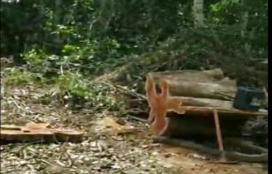 Imagem 6: VENDO TROCO FAZENDA 1200 hec ESCRITURADA REGIÃO DE AMAJARI RORAIMA ( 6100