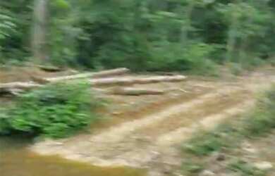 Imagem 10: VENDO TROCO FAZENDA 1200 hec ESCRITURADA REGIÃO DE AMAJARI RORAIMA ( 6100