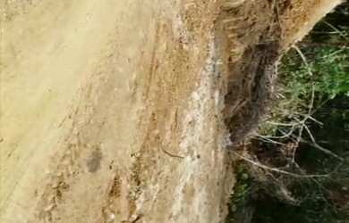 Imagem 11: VENDO TROCO FAZENDA 1200 hec ESCRITURADA REGIÃO DE AMAJARI RORAIMA ( 6100