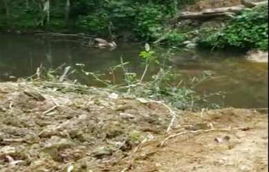 Imagem 9: VENDO TROCO FAZENDA 1200 hec ESCRITURADA REGIÃO DE AMAJARI RORAIMA ( 6100