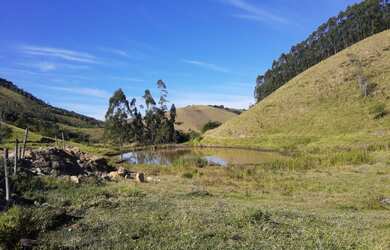 Imagem 9: VENDO FAZENDA 190 ALQUEIRES PECUARIA REGIAO DE NATIVIDADE SERRA 4235