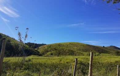 Imagem 11: VENDO FAZENDA 190 ALQUEIRES PECUARIA REGIAO DE NATIVIDADE SERRA 4235