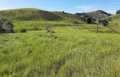 Imagem 12: VENDO FAZENDA 190 ALQUEIRES PECUARIA REGIAO DE NATIVIDADE SERRA 4235