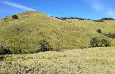 Imagem 15: VENDO FAZENDA 190 ALQUEIRES PECUARIA REGIAO DE NATIVIDADE SERRA 4235