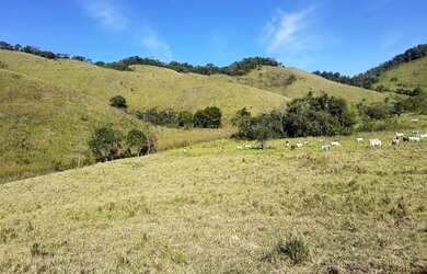 Imagem 1: VENDO FAZENDA 190 ALQUEIRES PECUARIA REGIAO DE NATIVIDADE SERRA 4235