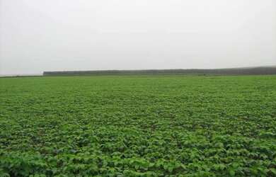 Imagem: A fazenda possui 3 Dormitórios, 2 Banheiros, 4 Vagas na garagem