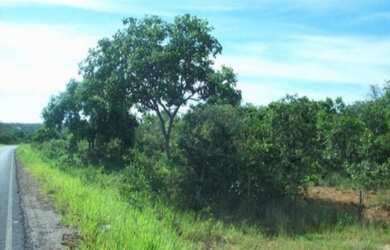 Imagem 2: VENDO FAZENDA EM JANUARIA-MG