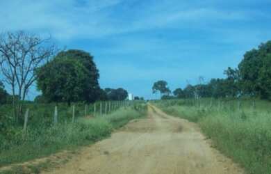 Imagem 8: VENDO FAZENDA EM JANUARIA-MG