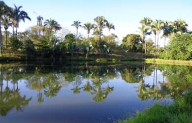 Imagem 11: VENDO FAZENDA EM JANUARIA-MG