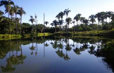 Imagem 12: VENDO FAZENDA EM JANUARIA-MG