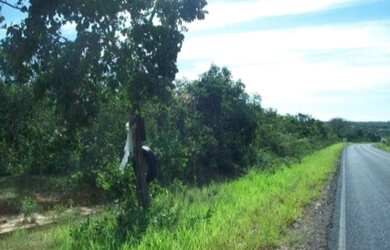 Imagem 3: VENDO FAZENDA EM JANUARIA-MG