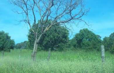 Imagem 5: VENDO FAZENDA EM JANUARIA-MG