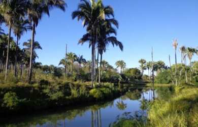 Imagem 14: VENDO FAZENDA EM JANUARIA-MG