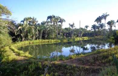 Imagem 15: VENDO FAZENDA EM JANUARIA-MG