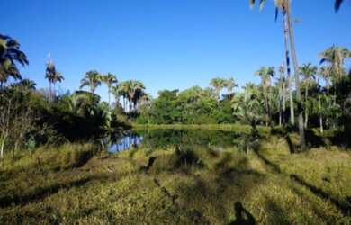 Imagem 16: VENDO FAZENDA EM JANUARIA-MG