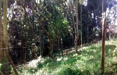 Imagem: O terreno está localizado em Frente para Br 116, Embu à venda