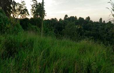 Imagem: O terreno e está localizado em Br 116, Itapecerica da Serra