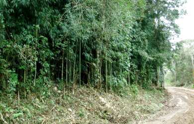 Imagem: O terreno possui 47.000m² de Área e está localizado em Potuverá