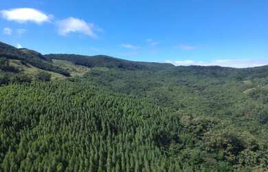 Imagem: A fazenda possui 40m² de Área e está localizado em Centro