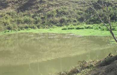 Imagem: A fazenda está localizado em Campo Grande, Pilar do Sul à