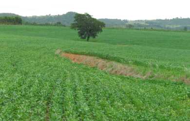 Imagem: A fazenda está localizado em Centro, Taquarituba à venda por