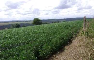 Imagem: A fazenda está localizado em Centro, Itapeva à venda por