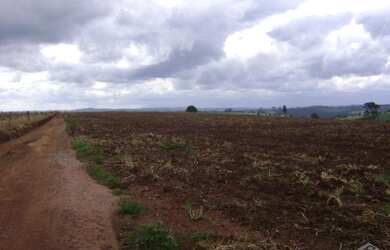 Imagem: A fazenda está localizado em Centro, Itapeva à venda por