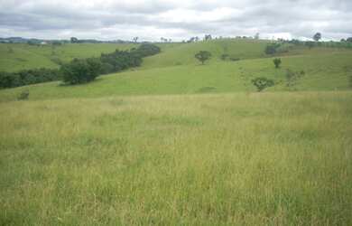 Imagem: A fazenda e está localizado em Centro, Sarapuí à venda por