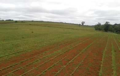 Imagem: A fazenda está localizado em Área Rural, Itapeva à venda