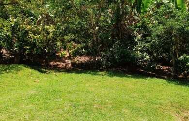 Imagem 3: FAZENDA RURAL em JAGUAQUARA - BA, IPIUNA