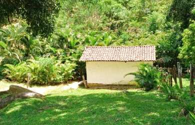 Imagem 6: FAZENDA RURAL em JAGUAQUARA - BA, IPIUNA