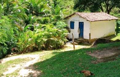 Imagem 5: FAZENDA RURAL em JAGUAQUARA - BA, IPIUNA