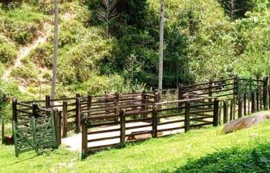 Imagem 8: FAZENDA RURAL em JAGUAQUARA - BA, IPIUNA