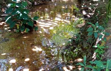 Imagem 10: FAZENDA RURAL em JAGUAQUARA - BA, IPIUNA