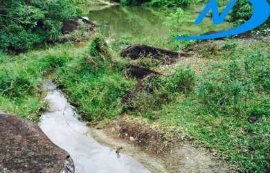 Imagem 9: FAZENDA RURAL em JAGUAQUARA - BA, IPIUNA