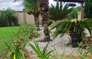 Imagem 8: 3 dormitórios, 1 suítes, 3 banheiro, 2 vagas na garagem, 3000M² de...